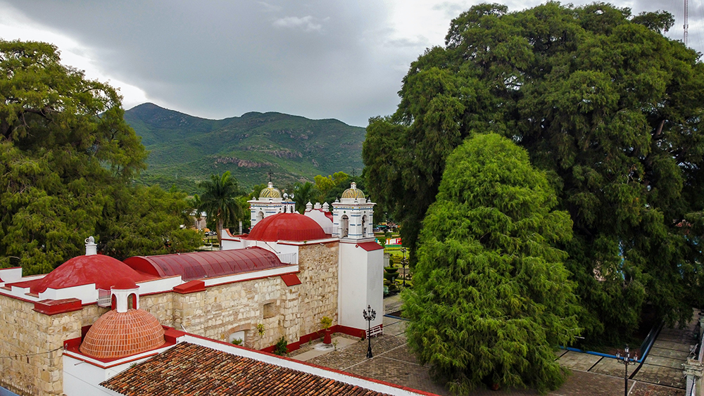 santa-maria-del-tule-oaxaca-mexico